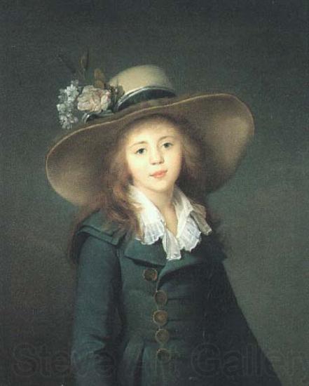 elisabeth vigee-lebrun Portrait of Elisaveta Alexandrovna Demidov, nee Stroganov here as Baronesse Stroganova France oil painting art
